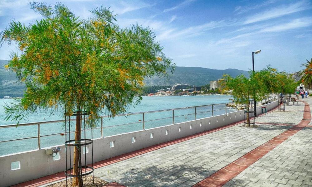 Villa Montanja Herceg Novi Kültér fotó